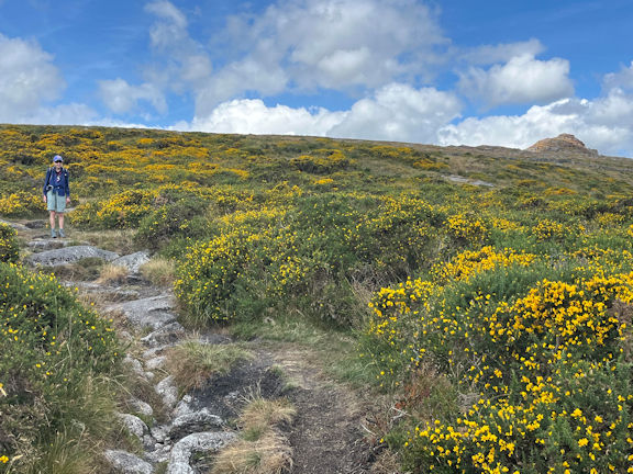 view